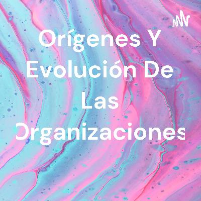 Orígenes y evolución de las organizaciones