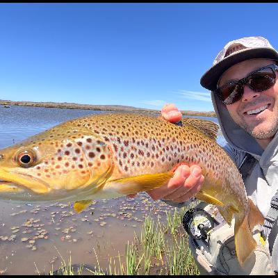 Behind the Counter - 09/02/2024 Behind the Counter - 09/02/2024