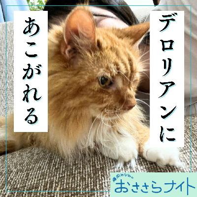 ＜ＯＡ＞２０２６年１月２４日放送