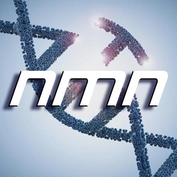 Limitless: Biohacking Brainpower, Health, Personal Growth & Beyond
