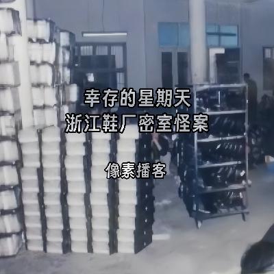 60.幸存的星期天：浙江鞋厂密室怪案