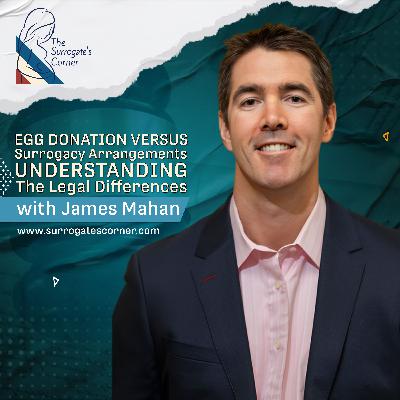 Egg Donation versus Surrogacy Arrangements: Understanding the Legal Differences