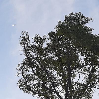 A Oração do Pai Nosso