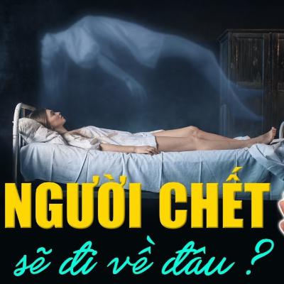 Người Chết sẽ đi về đâu - Thầy Thích Pháp Hòa (vấn đáp rất hay)