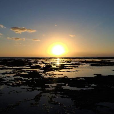 animate, con el cambiarás