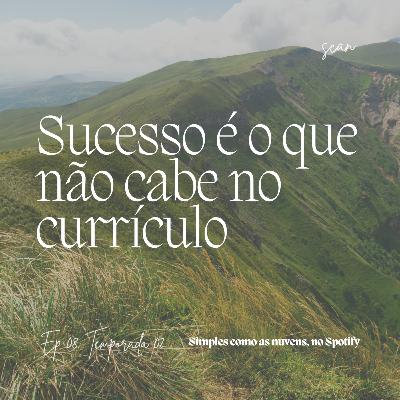 29. Sucesso é o que não cabe no currículo