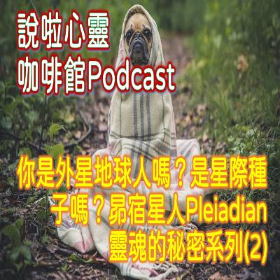 你是外星地球人嗎？是星際種子嗎？昴宿星人Pleiadian – 靈魂的秘密系列(2)