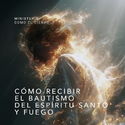 Cómo recibir el bautismo del Espíritu Santo y fuego