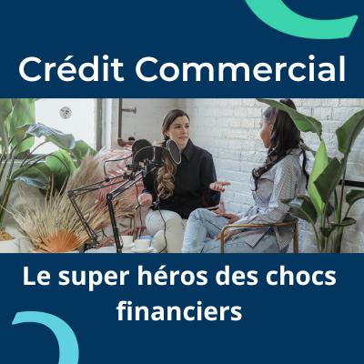 Le super pouvoir du Crédit Commercial lors des chocs financiers