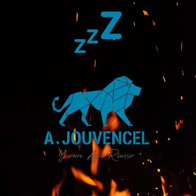 Power Nap : Sieste au coin du feu