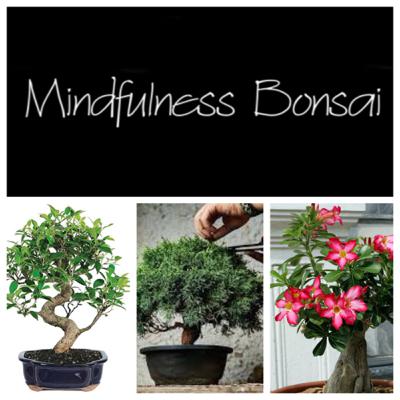S1: E5- Mindfulness Bonsai- Conéctate con la naturaleza a través de la jardinería S1: E5- Mindfulness Bonsai- Conéctate con la naturaleza a través de la jardinería