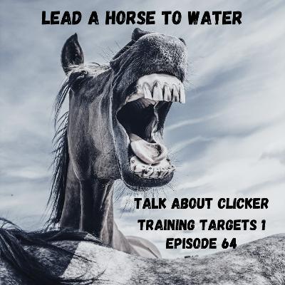 Talk about clicker training targets; an overview