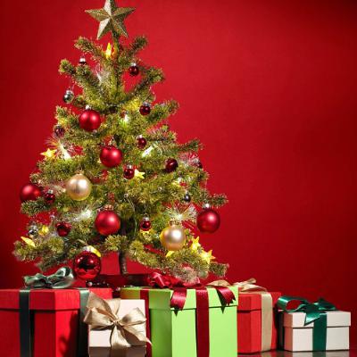 podcast de Noël : les 4 V pour mieux comprendre son cheval
