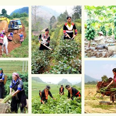 Xã hội chuyển động - Ứng dụng khoa học, công nghệ, góp phần thực hiện thành công mục tiêu giảm nghèo bền vững