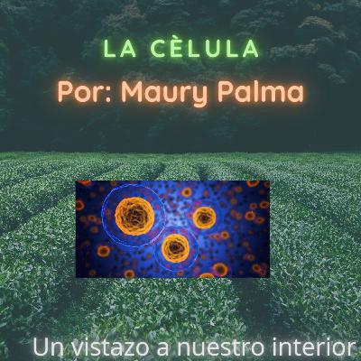 La célula Primer Episodio