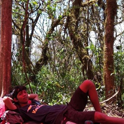 Cerita Cintanya si Bego