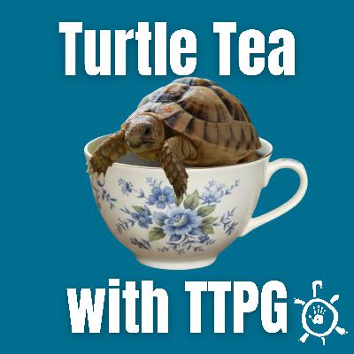 Egyptian Tortoises: Tiny Survivors on the Brink Egyptian Tortoises: Tiny Survivors on the Brink