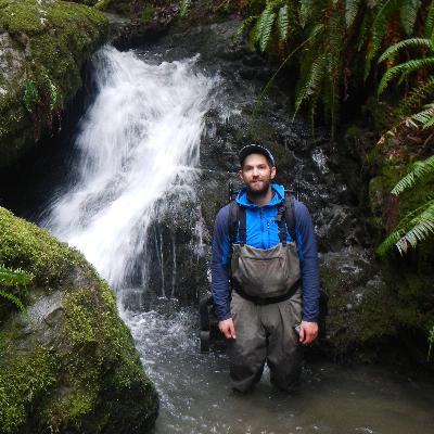 332 - Modelling the Effects of Wildifre on Food Webs and Fish with Dr. Dave Roon