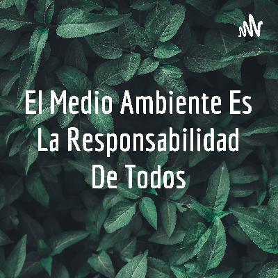 El medio Ambiente es la Responsabilidad de Todos