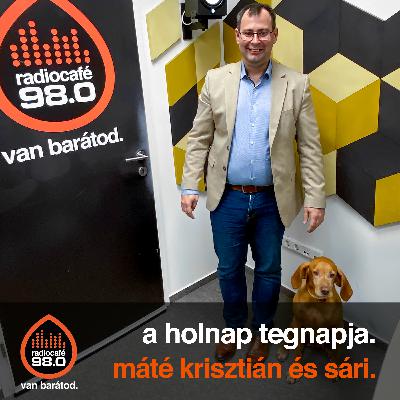 #83 Kutyabarát munkahely - kisokos munkaadóknak