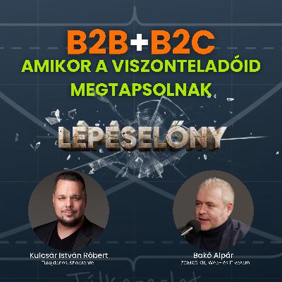 B2B + B2C - amikor a viszonteladóid megtapsolnak | Lépéselőny podcast B2B + B2C - amikor a viszonteladóid megtapsolnak | Lépéselőny podcast
