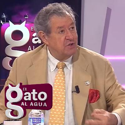 El Gato al Agua | 15/07/25