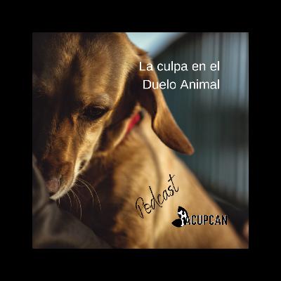 La culpa en el Duelo Animal