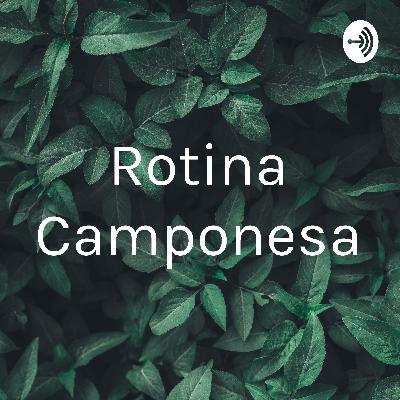 #8 - John Vernooij - High Performance Leiderschap in de praktijk deel 2 #8 - John Vernooij - High Performance Leiderschap in de praktijk deel 2