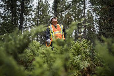 150-Reconciliation in Forestry with Percy Guichon