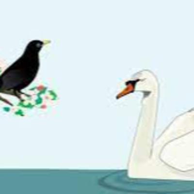 El cuervo y el cisne
