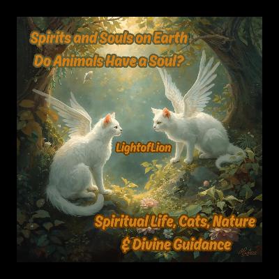 Spirits and Souls on Earth | Do Animals Have a Soul? Spiritual Life, Cats, Nature & Divine Guidance