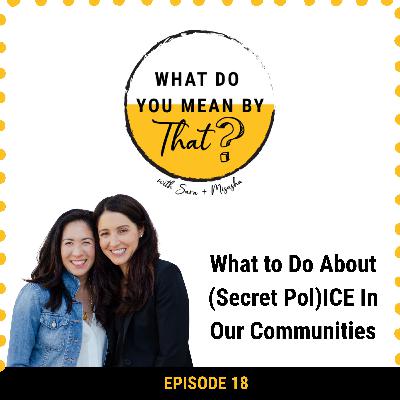 18: What to do about (Secret Pol)ICE In Our Communities