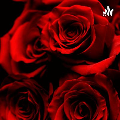 Fourth Stimulus Check? Covid-19 Updates! DMX Updates