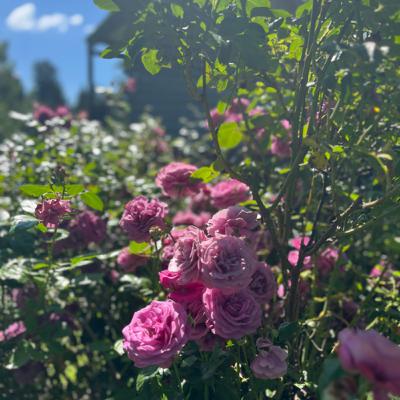 3 Keys to Empowering your Heart in Motherhood