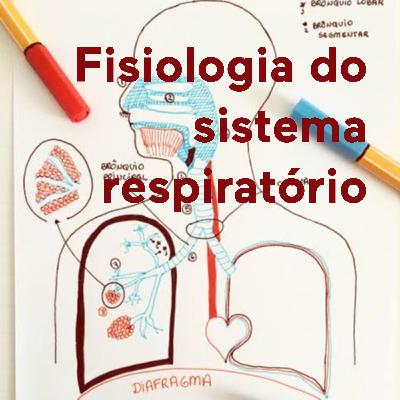 As doenças do sistema respiratório e a diferença entre gripe e resfriado As doenças do sistema respiratório e a diferença entre gripe e resfriado