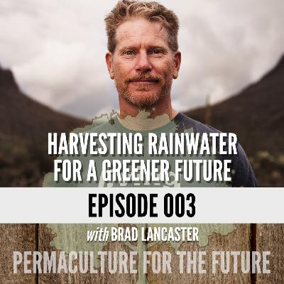 Harvesting Rainwater for a Greener Future