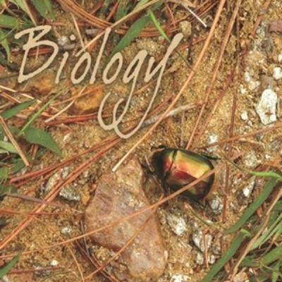 CH-8 CELL: THE UNIT OF LIFE