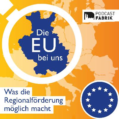 Wie können Moorgebiete das Klima retten?