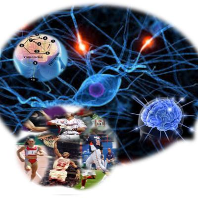 NEUROCIENCIA APLICADA AL DEPORTE