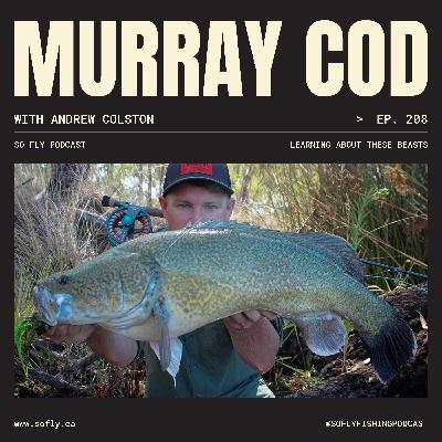 EP 208 Murray Cod with Andrew Colston EP 208 Murray Cod with Andrew Colston