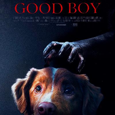 S30.09. Глазами хорошего мальчика пса