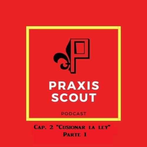 Praxis Scout