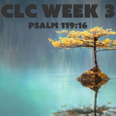 The Heart Reflects the man The Heart Reflects the man