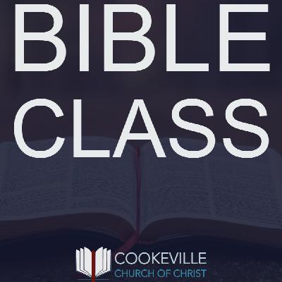 The Bronze Serpent The Bronze Serpent