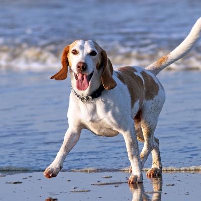 Sonríe para correr mejor - Ep.319 Sonríe para correr mejor - Ep.319