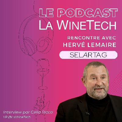 Selartag – De l’inventaire à la dégustation : la cave se réinvente