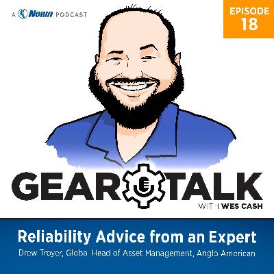 Reliability Advice from an Expert