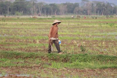Verfügbar und treu, auch wenn kein Erfolg sichtbar ist Verfügbar und treu, auch wenn kein Erfolg sichtbar ist