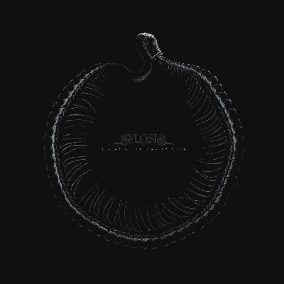 Sylosis - 2023 - A Sign of Things to Come