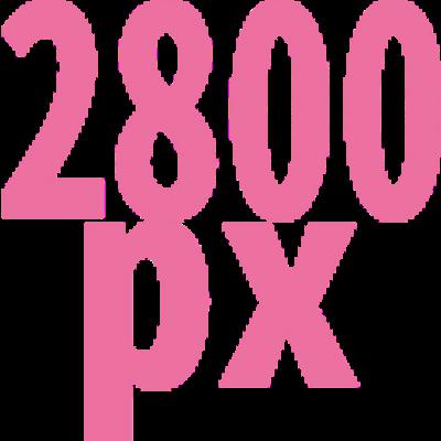 2800 x 2800
